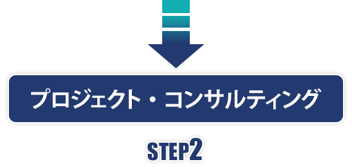 プロジェクト・コンサルティング