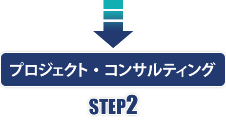 プロジェクト・コンサルティング